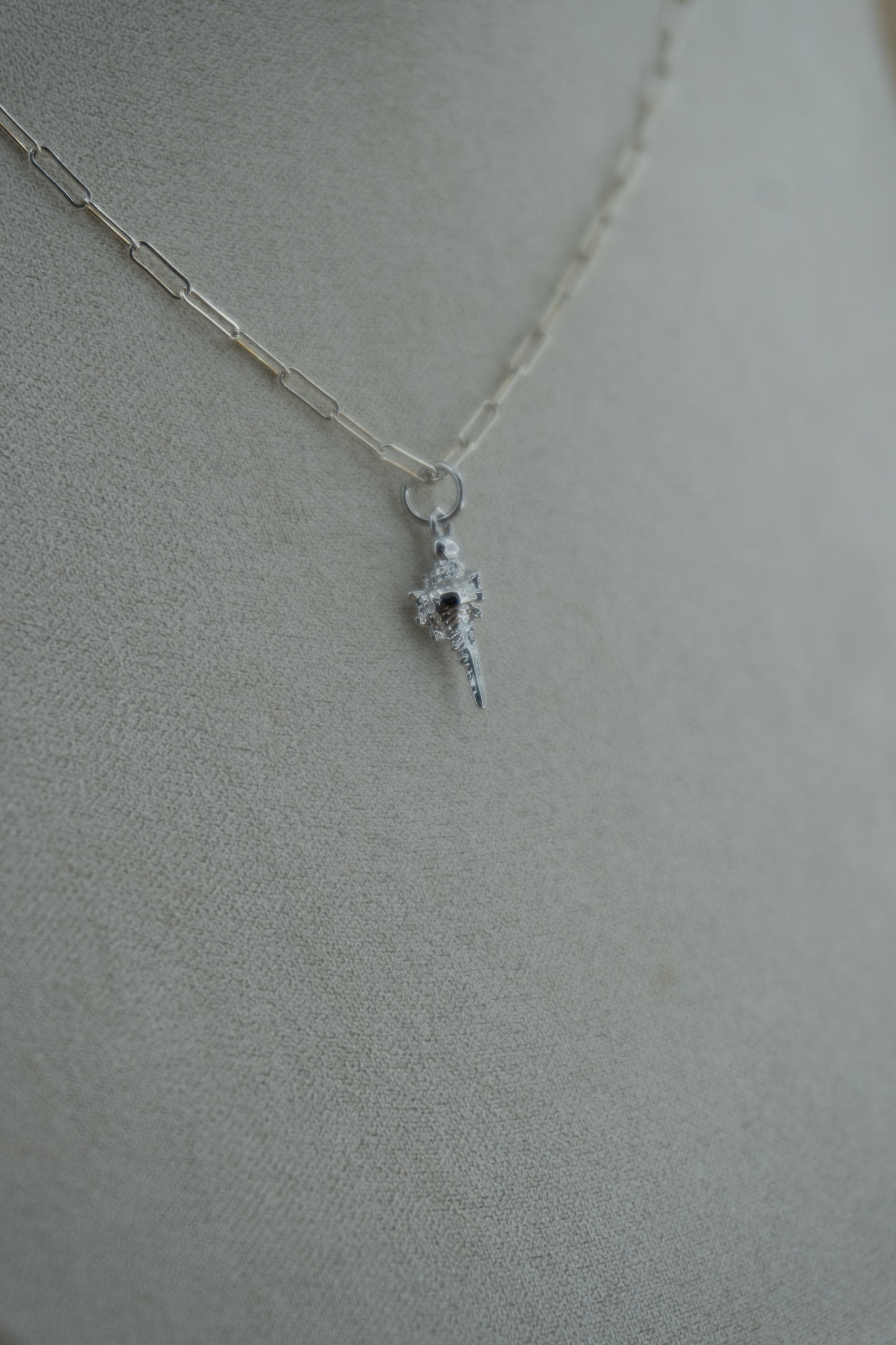 conch shell charm
