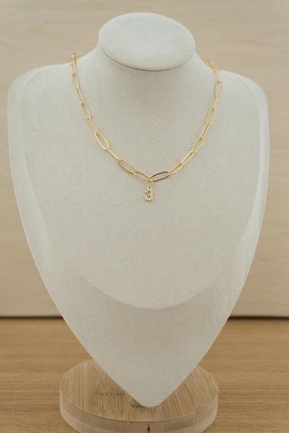 number (gold + silver) charm